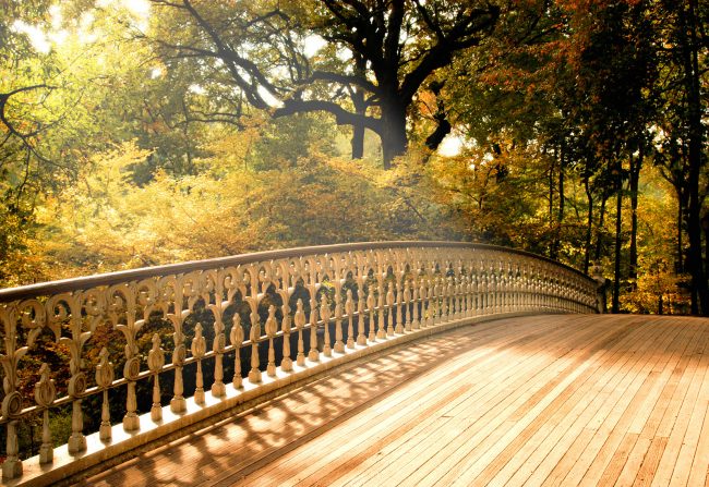 Bridge